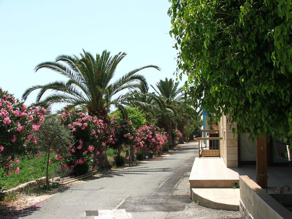 Dimma Seaside Houses Paphos Exterior foto